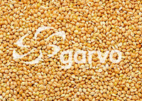 Garvo | Geel millet 5331 | 20kg