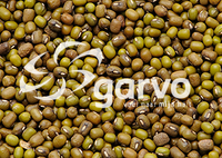 Garvo | Katjang idjoe 5368 | 25kg