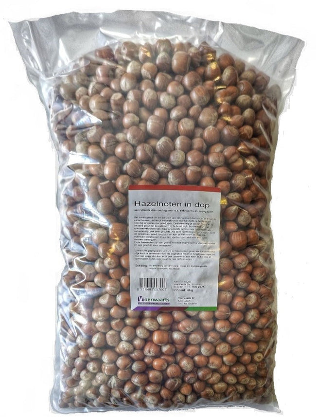 Voerwaarts hazelnoten in dop verpakking