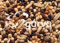 Garvo | Volierezaad 5343 | basis zadenmengeling voor alle kooi- en volièrevogels | 20kg