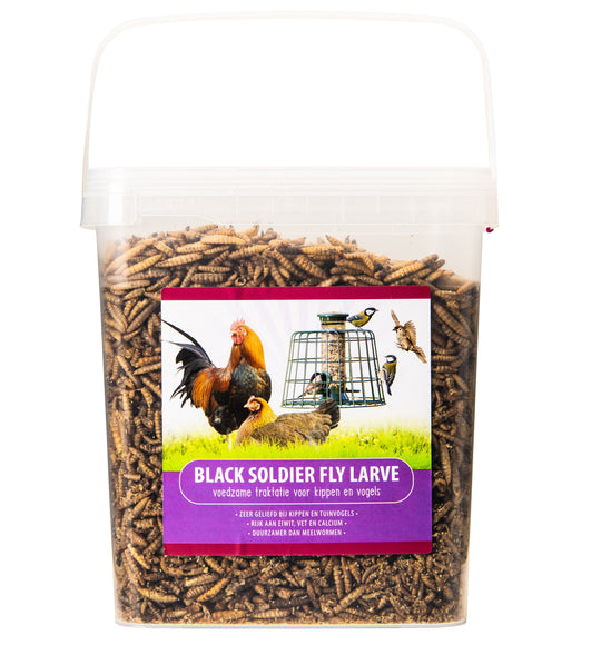 Black Soldier Fly Larve 700g
