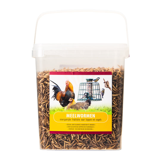 Meelwormen 900g