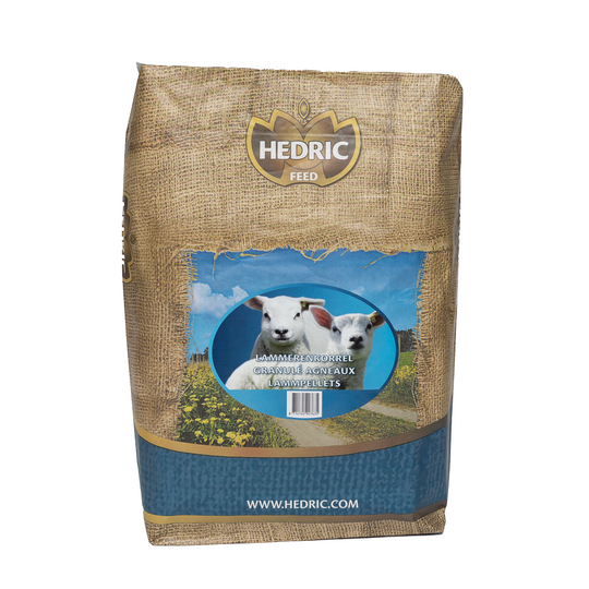 Hedric Lammerenkorrel - 20kg