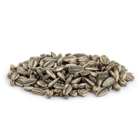 Zonnepitten gestreept 12,5kg