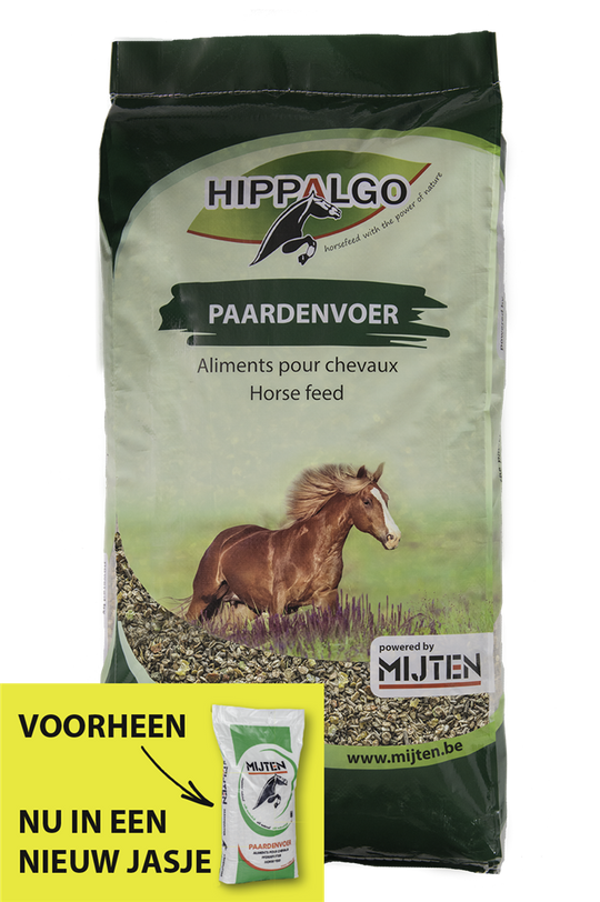 Hippalgo Merrie & Veulenmix